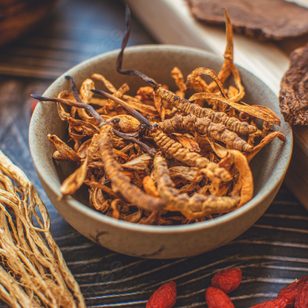 Bảo Quan Đông Trùng Hạ Thảo Như Thế Nào Để Được Lâu Dài Và Hiểu Quả